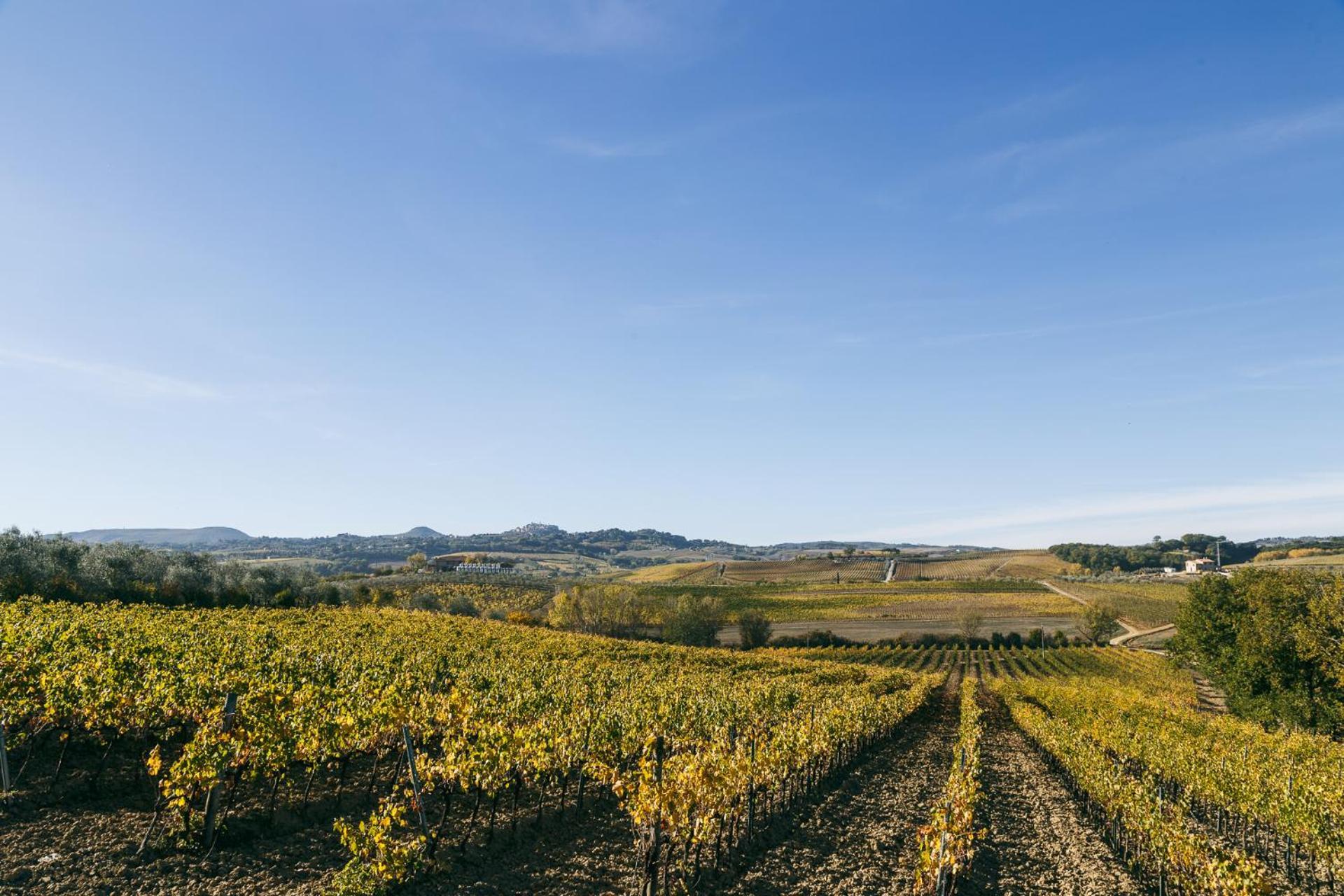 L'Orto Di Panza Bed & Breakfast Abbadia di Montepulciano Dış mekan fotoğraf
