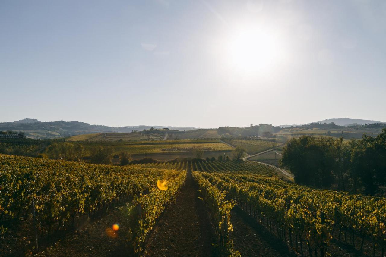L'Orto Di Panza Bed & Breakfast Abbadia di Montepulciano Dış mekan fotoğraf